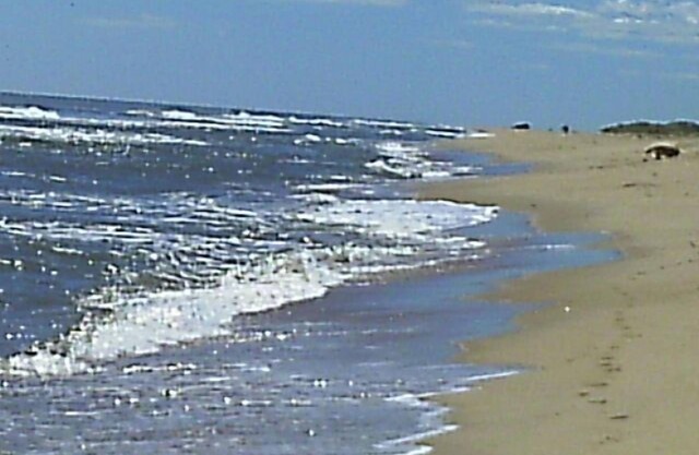 Hamptons Strandhaus mit Dünen, Aussicht und das Ambiente! Ocean & Bay Strände !!