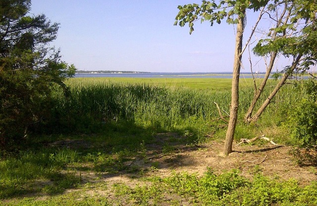 Hamptons getaway