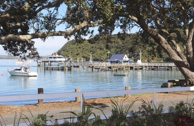 Hananui Lodge and Apartments