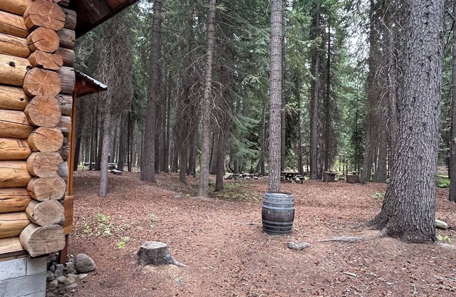 Handbuilt Cabin in Bend near Tumalo Falls