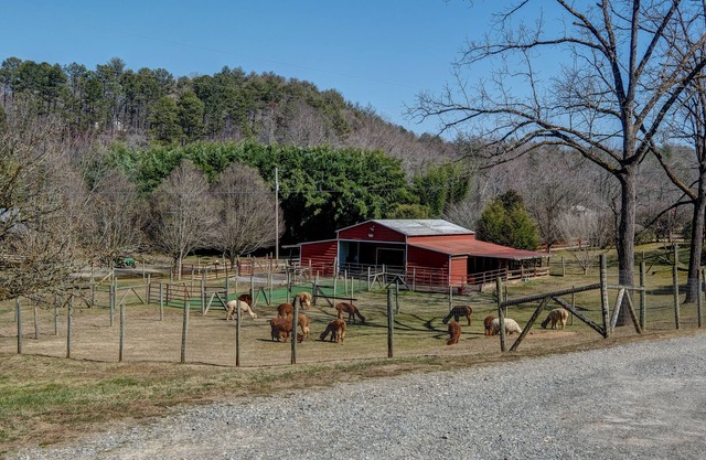 Handicap Accessible Log cabin 20ft off Cobb Creek - Historic Cobb Estate Cir1861
