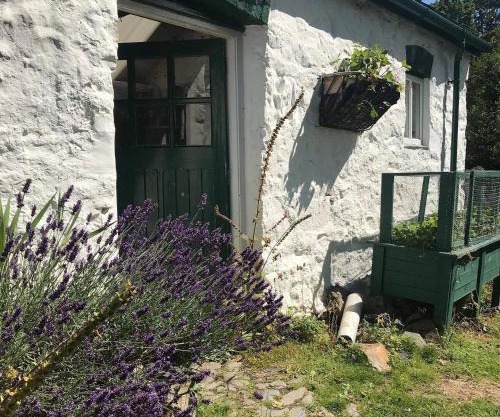 Hapus Yurt - Two Beautiful Yurts and Barn Cottage