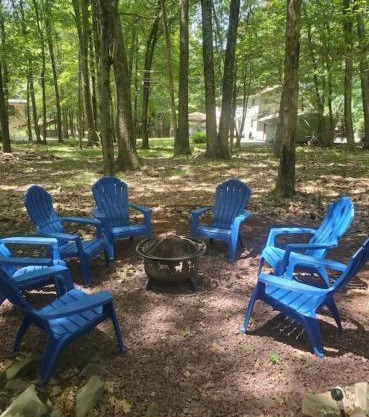 Harmony in the Woods