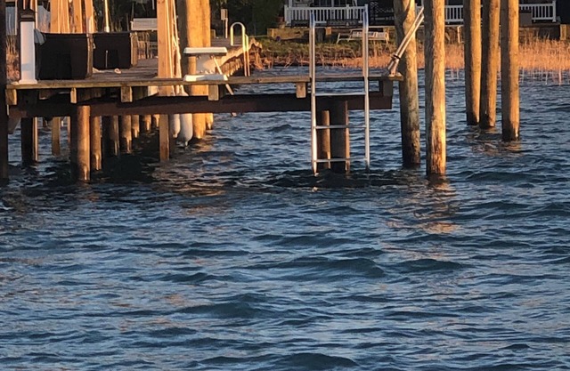 Harsens Island Waterfront Lodge on DOUBLE Lot & Dockage, swimming, and parking