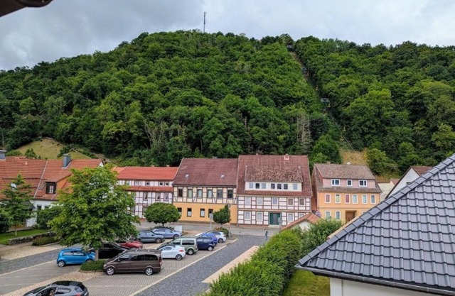 Harzflair am Hausberg - Harzflair am Hausberg - Holiday apartment
