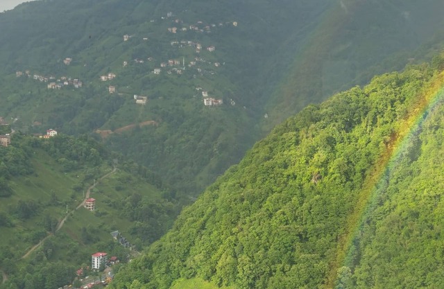 Havalı Bungalov-1 jakuzili Dere ve Şelale Manzaralı Süit Bungalow