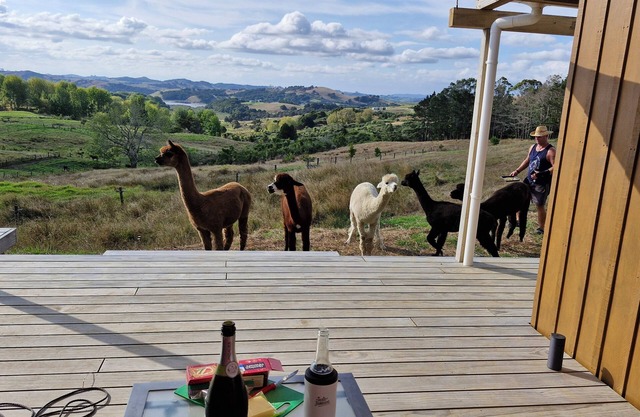 Havenridge Alpaca Glamping Cabins