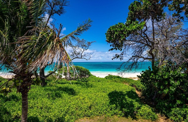 Hawaiian Beachfront Living! Gorgeous Whole Home on Oahu’s East Coast Sleeps 10