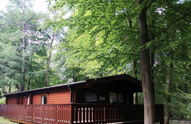 Hawthorn Lodge - Woodland Lodge with hot tub