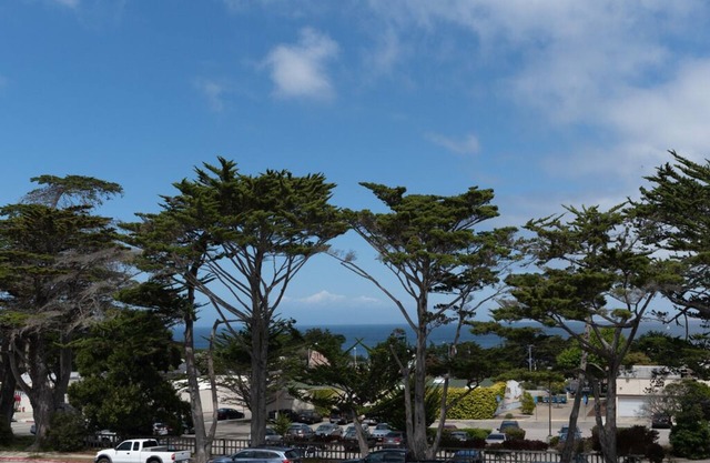 Hawthorne 901A - Monterey Condo - zu Fuß zum Strand und Aquarium