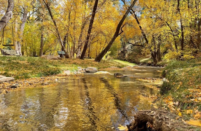 Heart of Ruidoso River#1