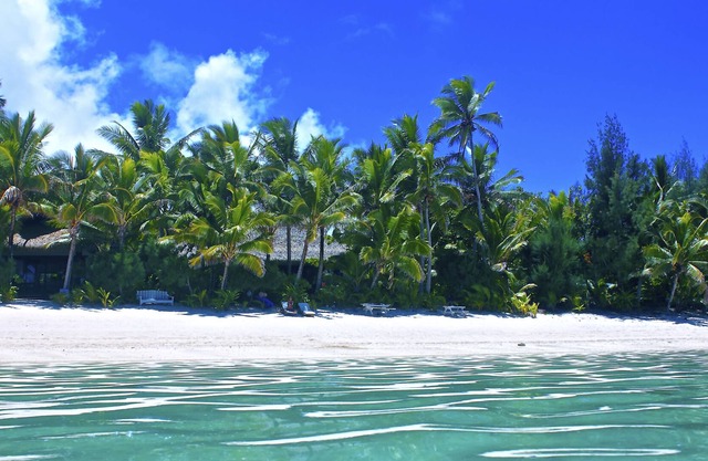 Heliconia Hideaway