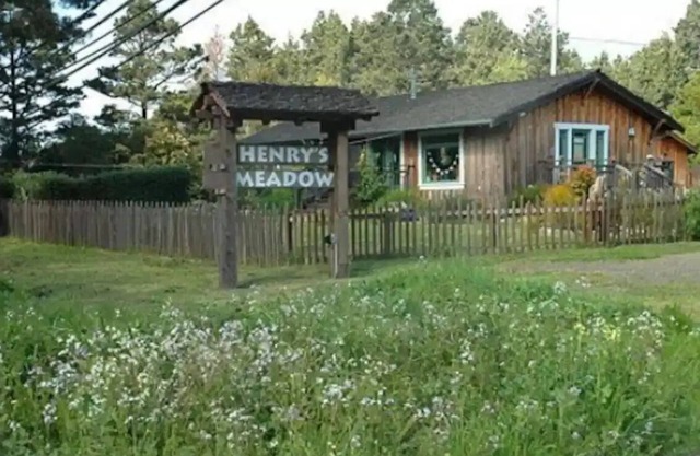 Henry's Meadow. Just South of Fort Bragg off Hwy 1.