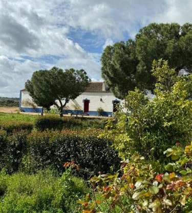 Herdade das Pintas
