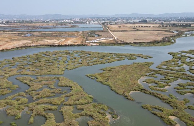 Herdade dos Salgados do Fialho