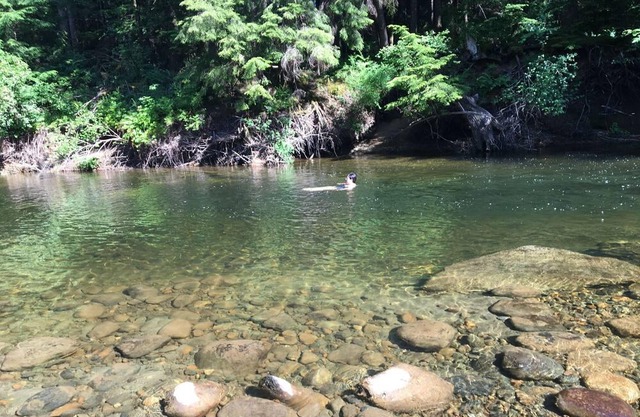 Erbe Hütte auf malerischen 5 Hektar am Tsolum River.