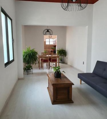HERMOSO DEPARTAMENTO AMPLIO COLONIA ROMA SUr