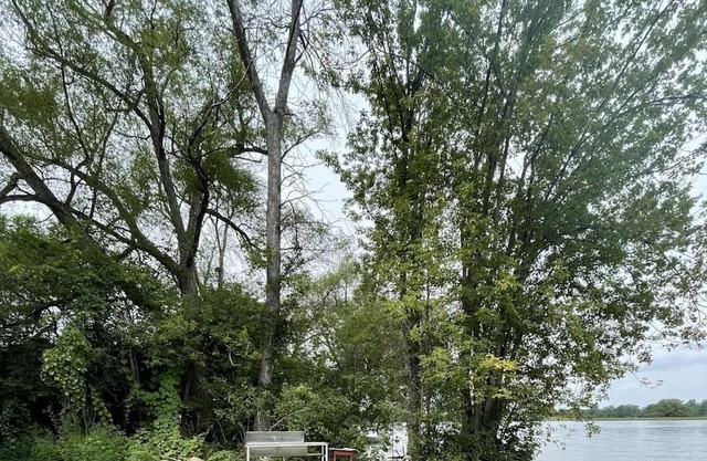 Hickory Waterfront Cottage #5