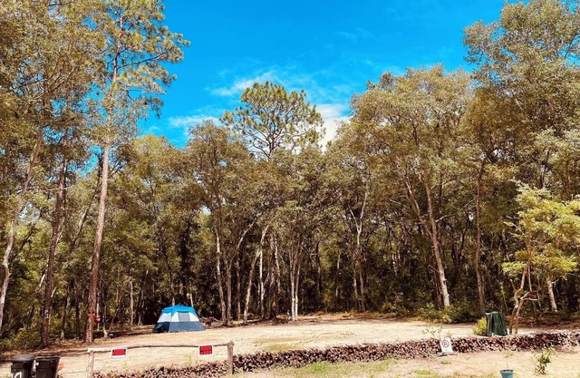Hidden Florida Gem 2 Campsite