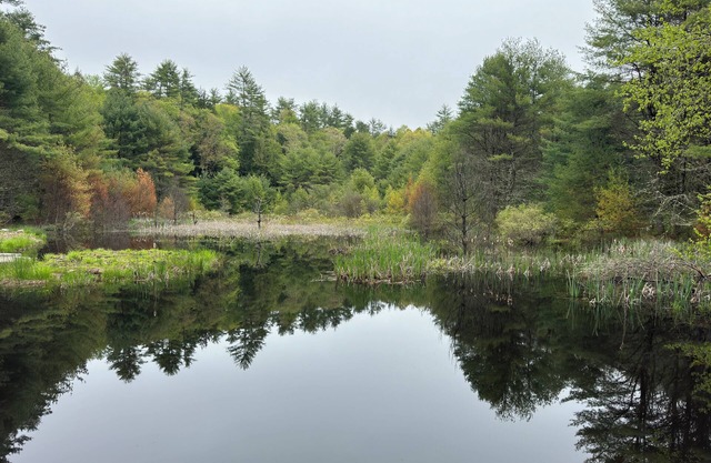 Hidden Modern Retreat - Cozy house in marvelous Narrowsburg with WiFi & AC