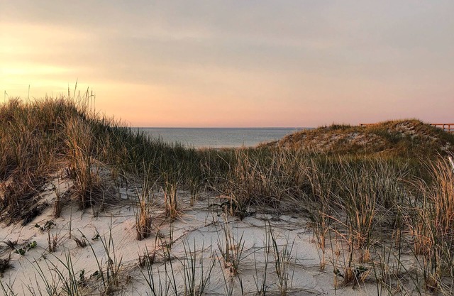 Verstecktes Paradies in Quivet Neck