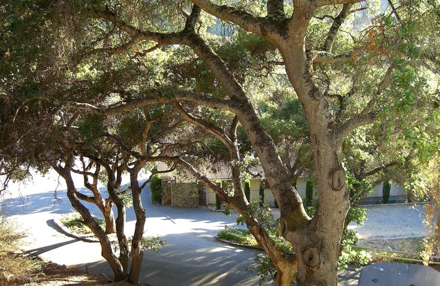 Hidden Valley Inn