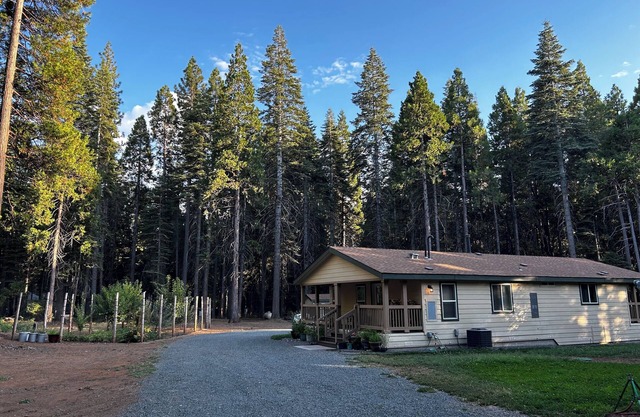 Hideaway Homestead Secluded, Family Escape