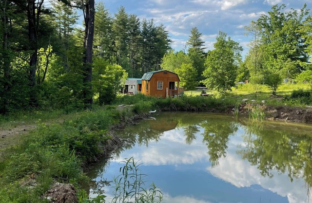 HideAway Tiny Cabin. In the Mountains WiFi, AC Dog Friendly.