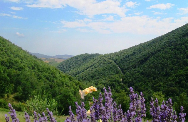 Wandern und genießen Sie die Natur in Le Marche, Italien im Cottage 'La Terra'