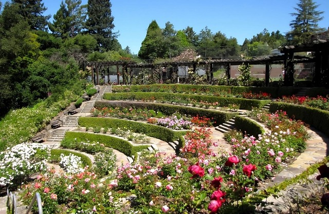 Hiking at Ridgeview Open Space! 3 Pet-friendly Units w/ Self Parking & Starbucks