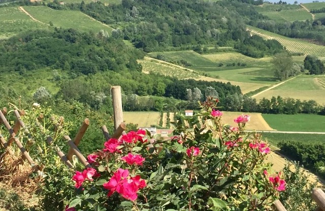 Villa in Hanglage mit fantastischer Aussicht auf die Landschaft Nizza Monferrato