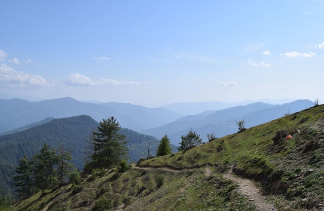 Himalaya Obstgarten Farmstay in den Shimla Hills