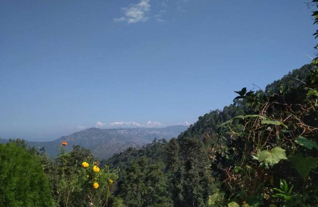 Himalaya-Ansicht, Zwitschernder Morgen