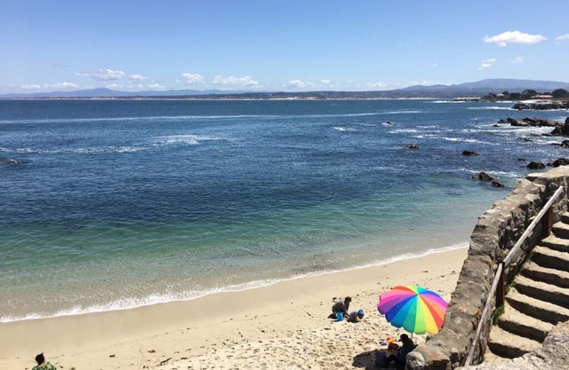 Hipster Vibe - Pacific Grove Apartment - Walk to the Beach!