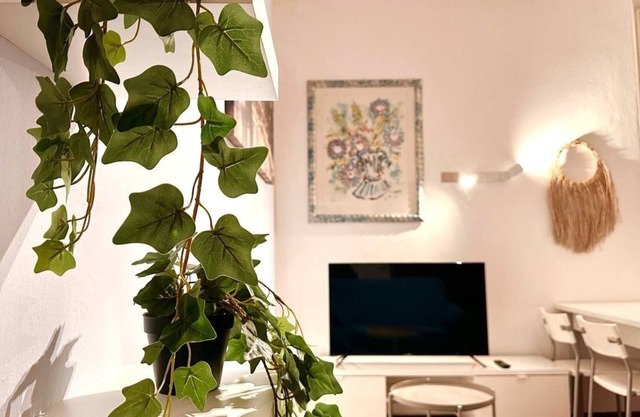 historic center apartment