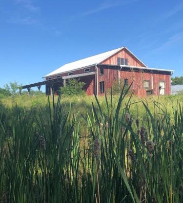 Historic Converted Barn Loft at Sobremesa Farm