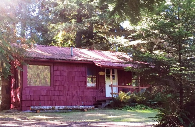 Historic Family Cabin just 0.4 miles from Mt. Rainier entrance