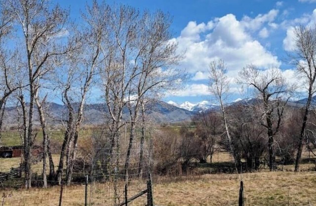 Historic Farmhouse Cabin in the Ruby Valley