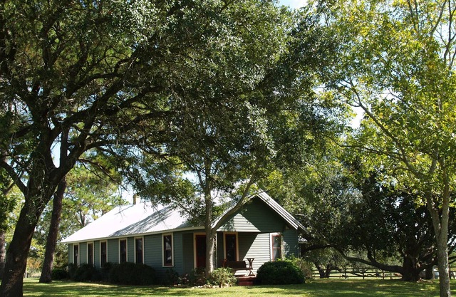 Historic Gonzales, One Hour to Austin and San Antonio