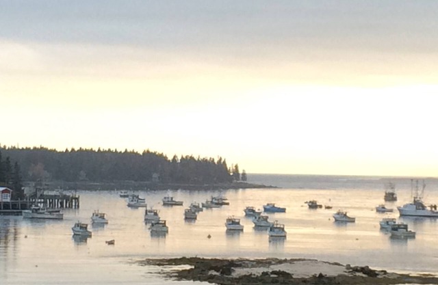 Historic Octagon-Shaped Cottage Overlooking Port Clyde Harbor