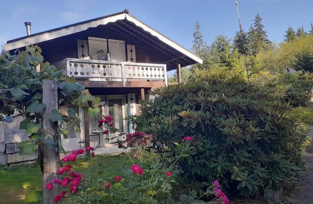 Hoh Chalet A cozy cabin on the Olympic Peninsula