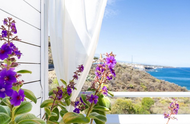 Holiday Accommodation "Apartamento Luna"