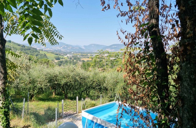 Ferienhaus mit Grill und Pool, teilweise umgeben von einem Olivenhain