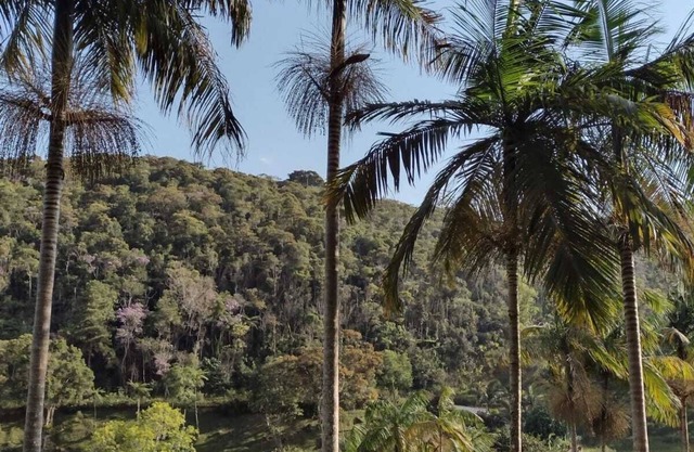 HOLIDAY AND WEEKEND RENTALS