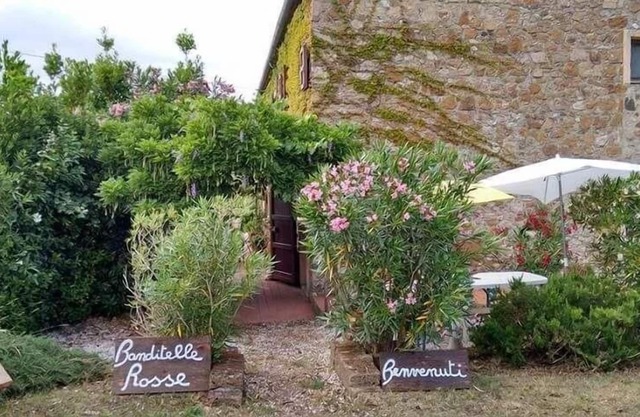 Ferienwohnung Castellina Marittima für 1 - 6 Personen mit 1 Schlafzimmer - Ferienwohnung