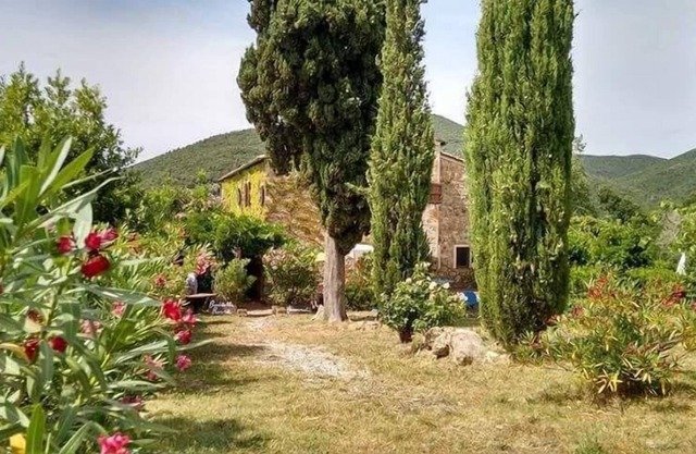 Ferienwohnung Castellina Marittima für 1 - 4 Personen mit 1 Schlafzimmer - Ferienwohnung
