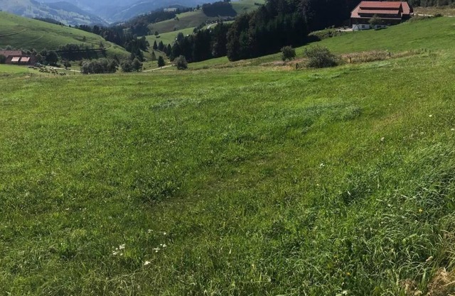 Ferienwohnung Malsburg-Marzell für 2 - 6 Personen mit 2 Schlafzimmern - Ferienwohnung