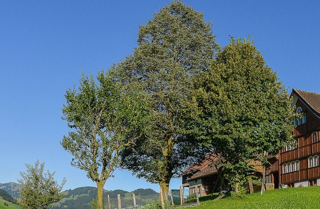 Ferienwohnung Brülisau für 1 - 5 Personen mit 2 Schlafzimmern - Bauernhaus