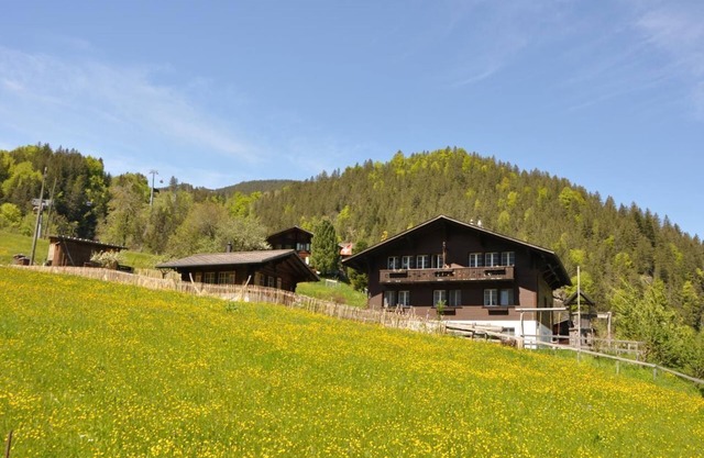 Ferienwohnung Grindelwald für 1 - 5 Personen mit 2 Schlafzimmern - Ferienwohnung