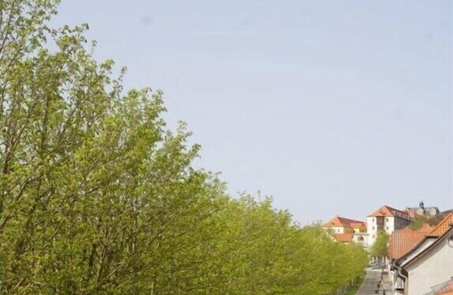 Ferienwohnung in Ballenstedt mit Parken